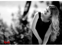 IPK_8104