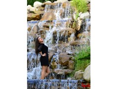 IPK_9072